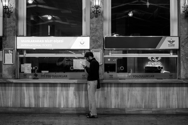 Comment organiser une croisière pour observer les ours bruns en Alaska?