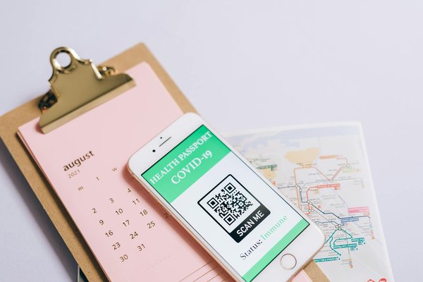 Quels sont les meilleurs endroits pour observer les migrations de papillons monarques au Mexique?