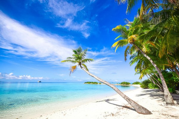 Comment organiser une visite des temples anciens en Indonésie?